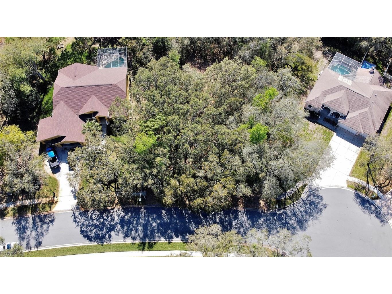 Warm Springs Court Hudson FL 34667 U8194444 image1