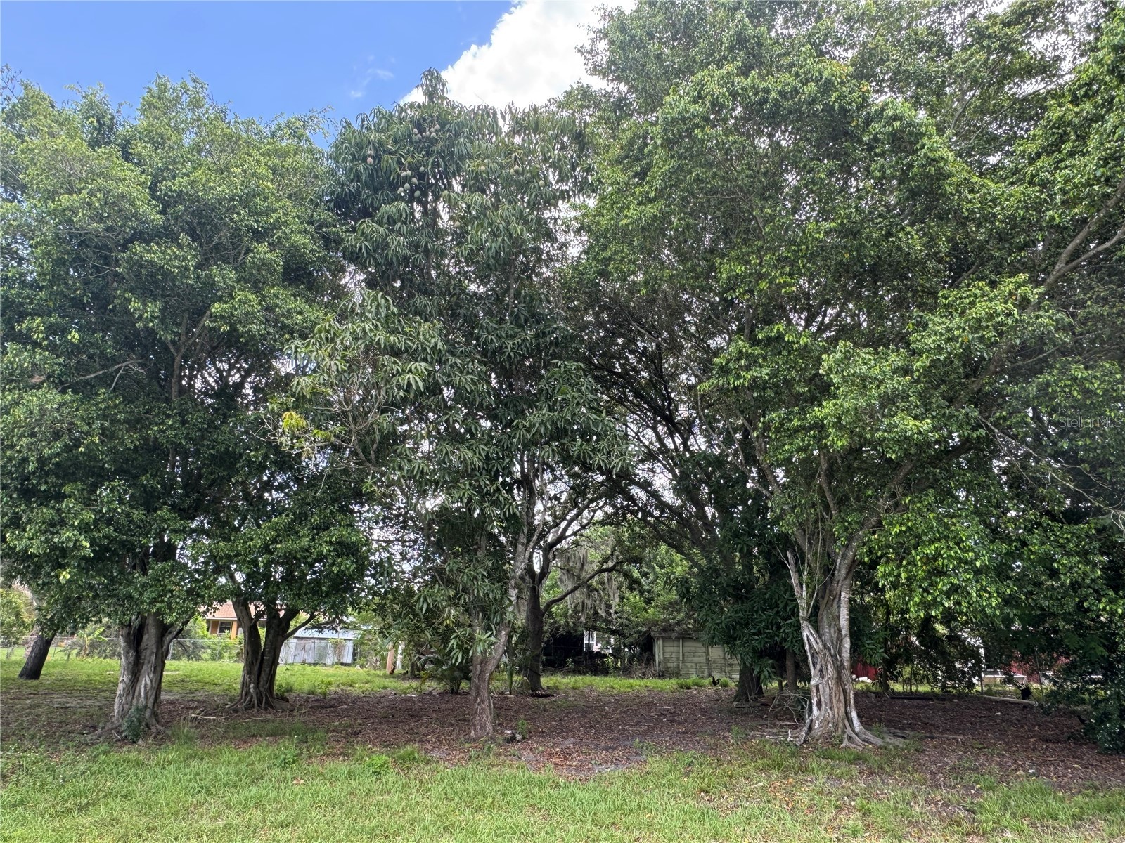 Washington Avenue Immokalee FL 34142 C7526793 image2