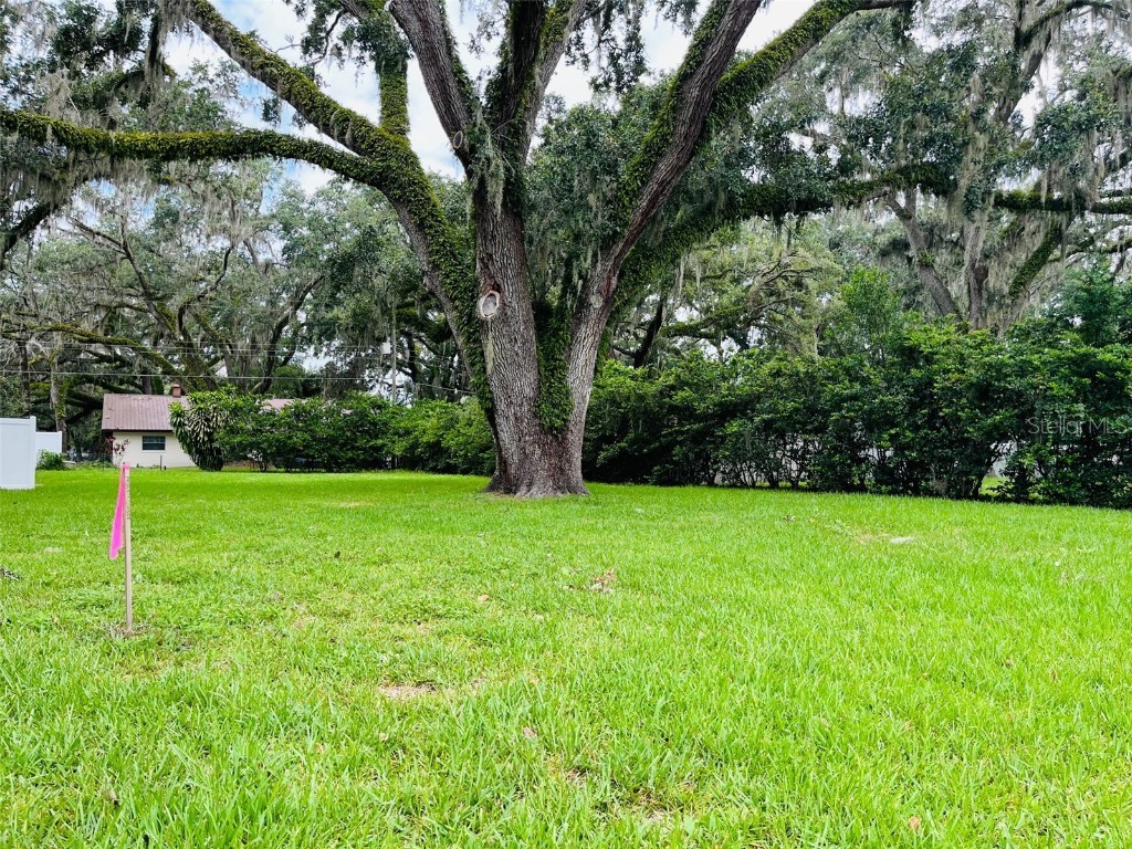 Washington Avenue Sanford FL 32771 O6131385 image1