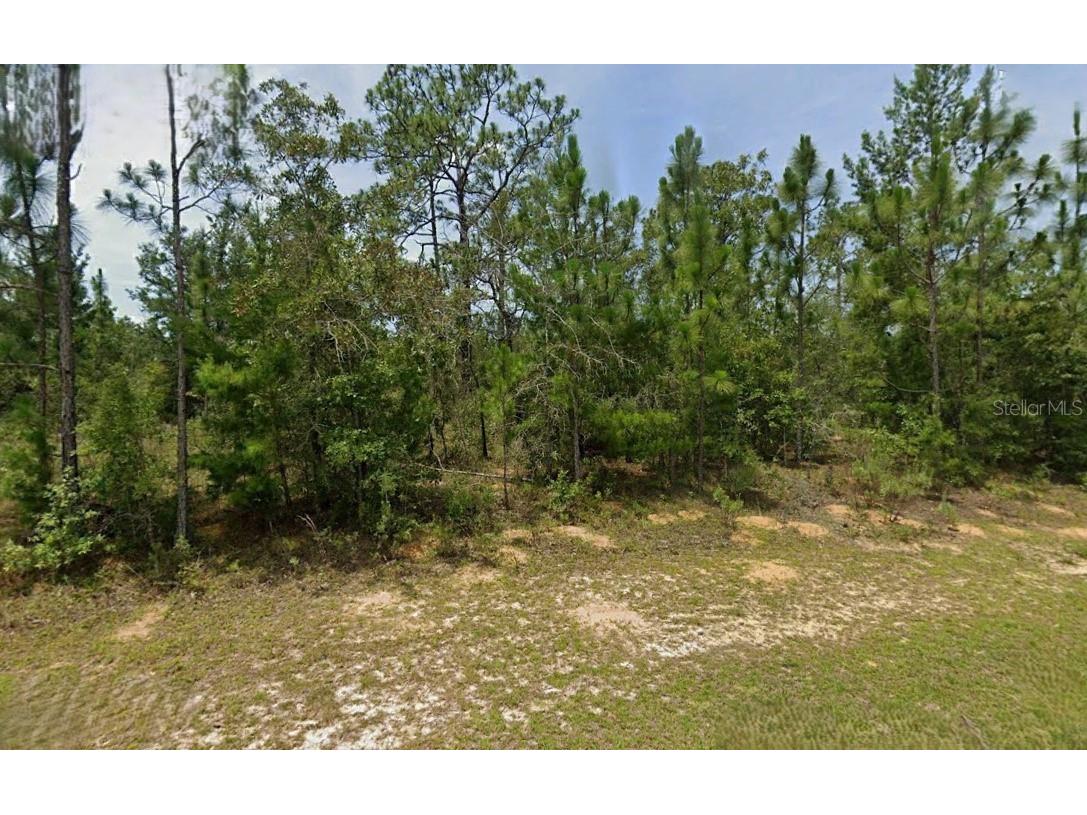 Washington Boulevard Chipley FL 32428 O6251436 image1