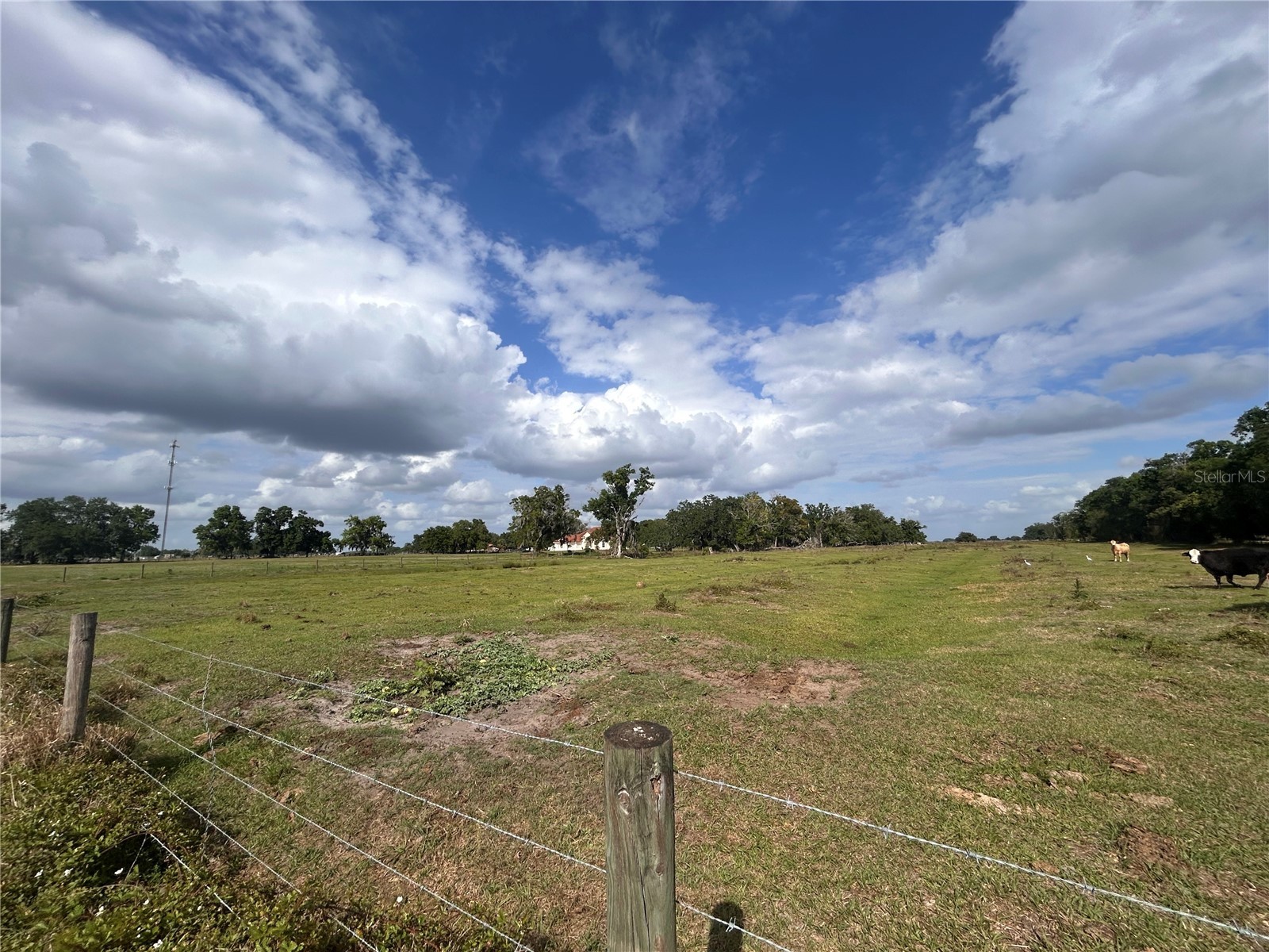 Washington Street Arcadia FL 34266 A4687825 image1