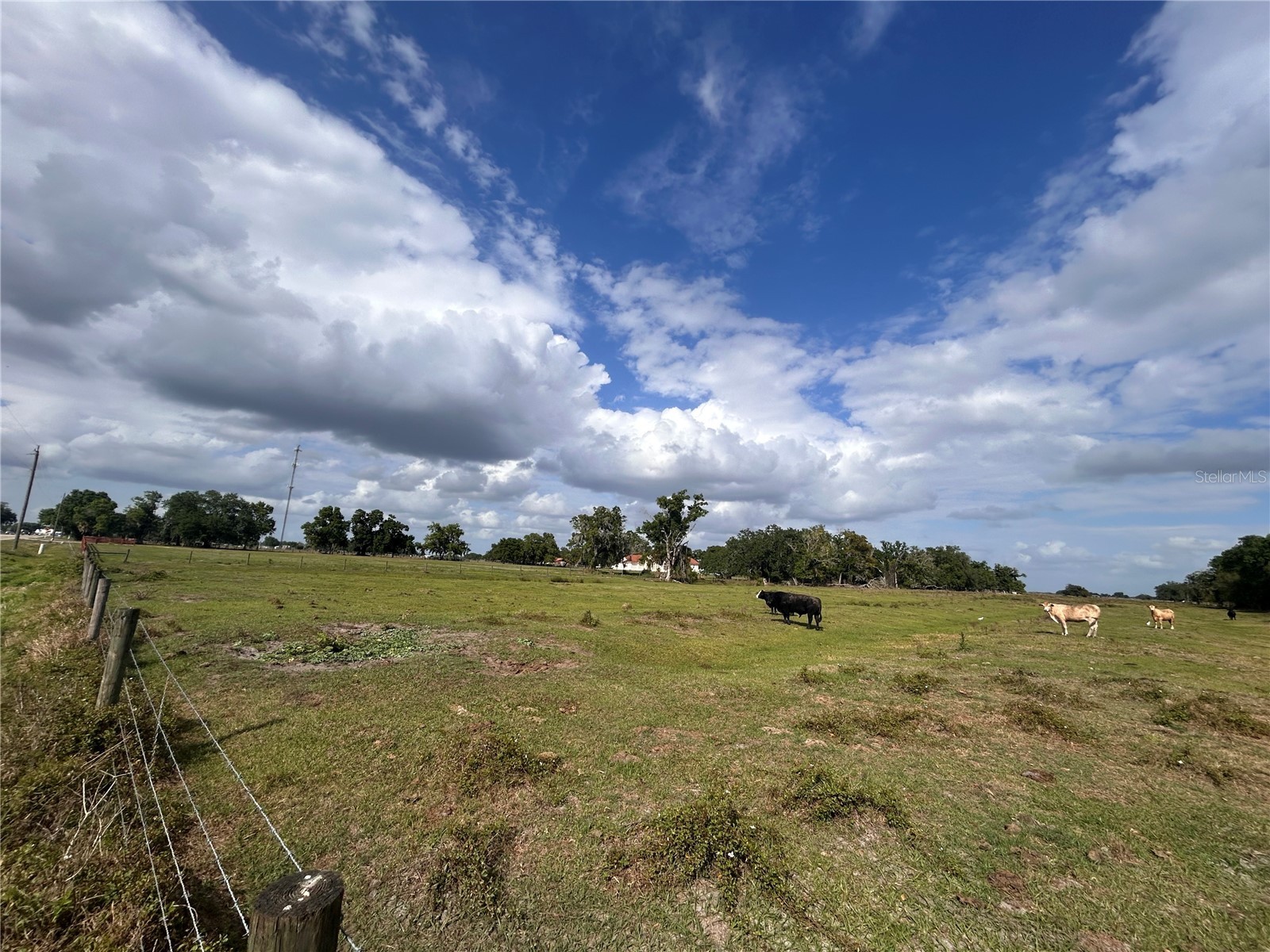 Washington Street Arcadia FL 34266 A4687825 image2