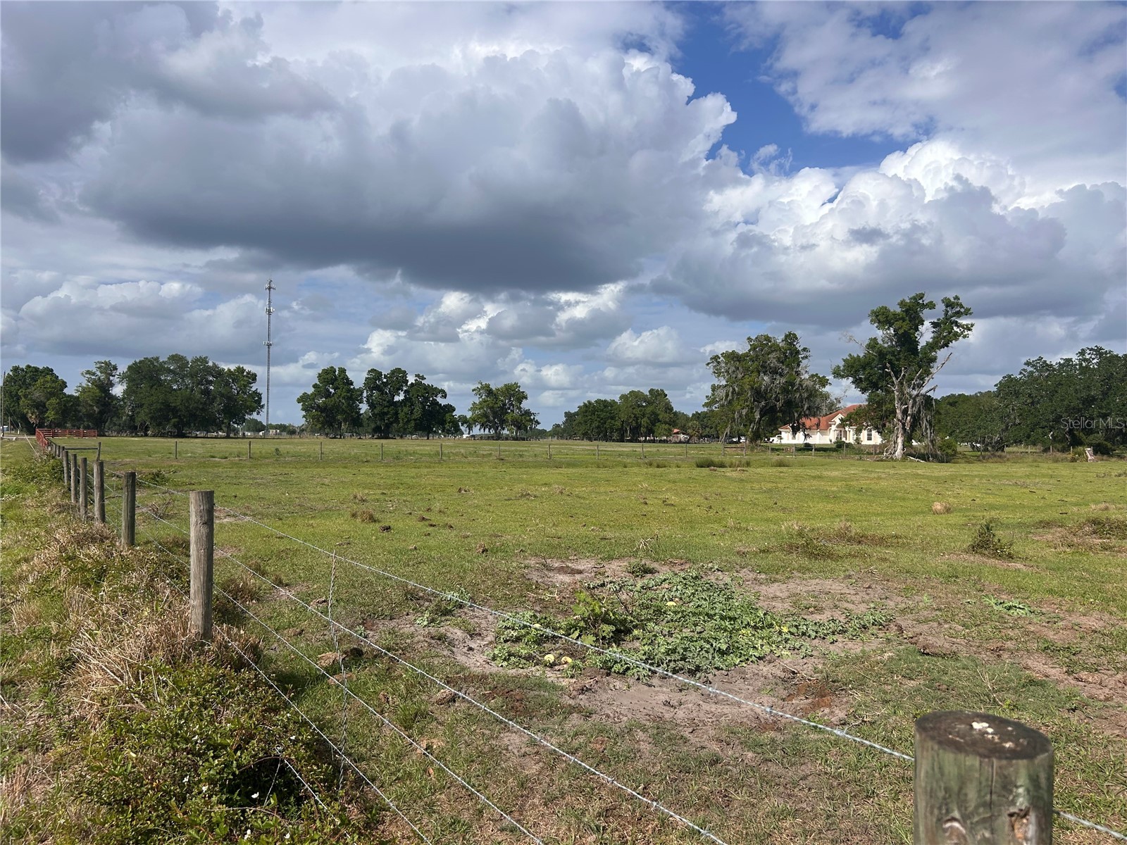 Washington Street Arcadia FL 34266 A4687825 image3