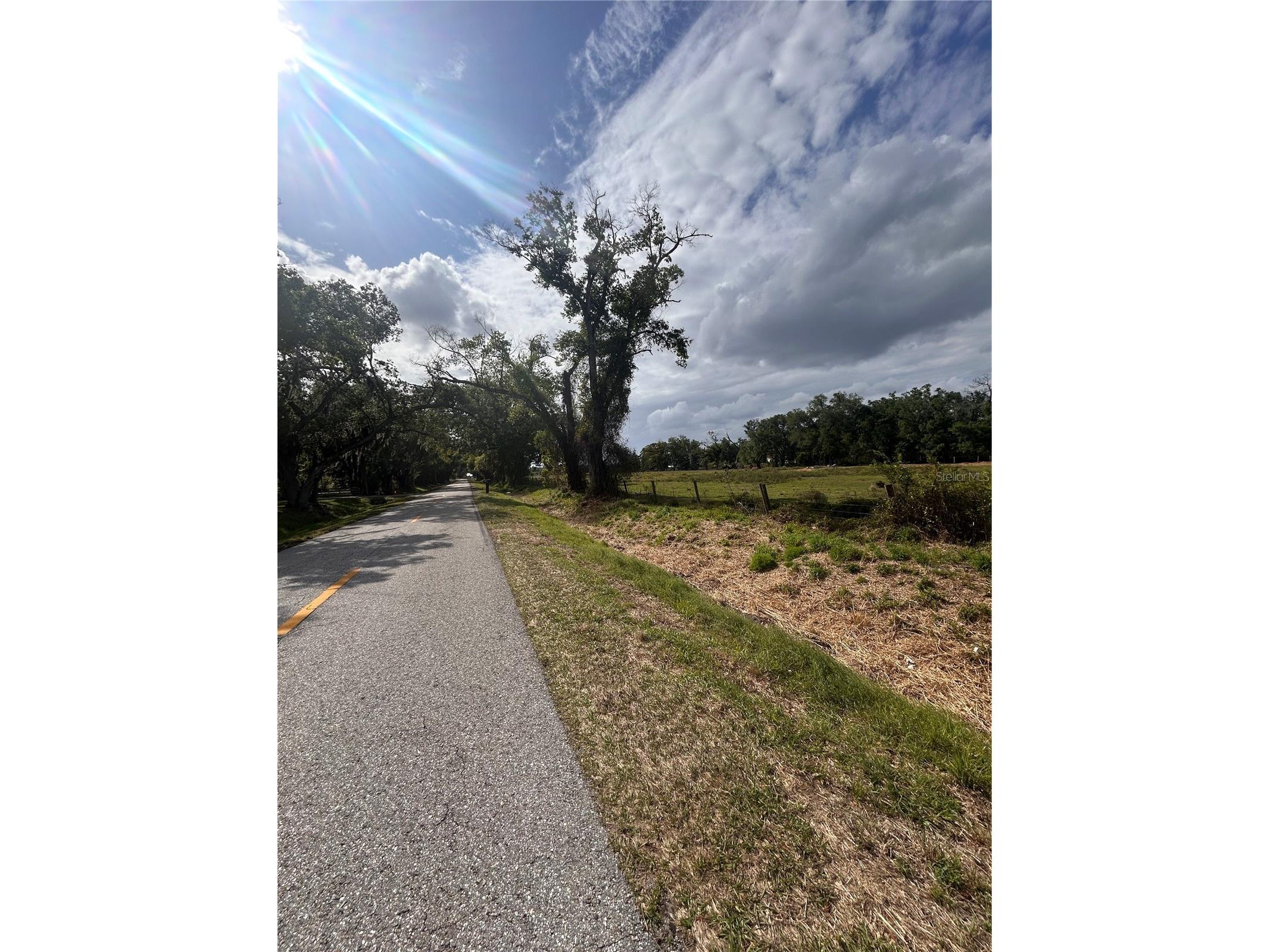 Washington Street Arcadia FL 34266 A4687825 image4