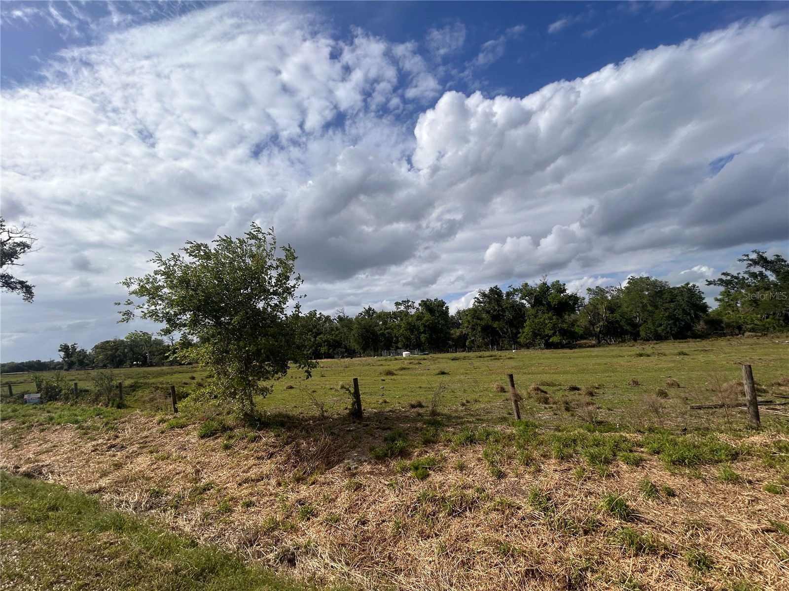 Washington Street Arcadia FL 34266 A4687825 image6