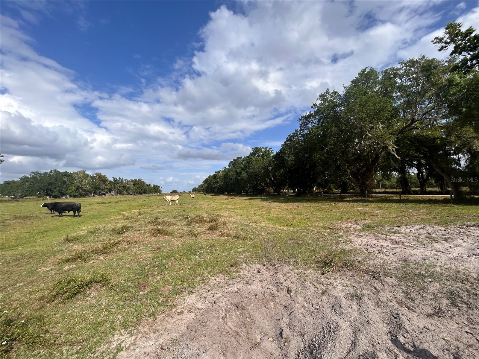 Washington Street Arcadia FL 34266 A4687825 image7