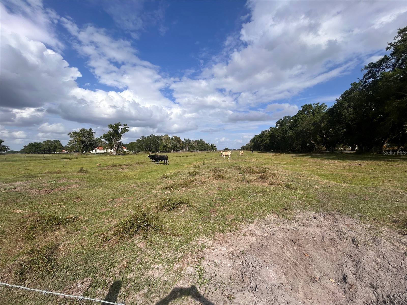 Washington Street Arcadia FL 34266 A4687825 image8