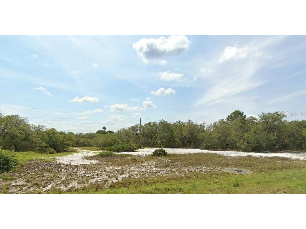 Washington Street Lake Wales FL 33859 O6311177 image1