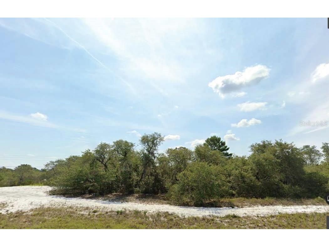 Washington Street Lake Wales FL 33859 O6311192 image1