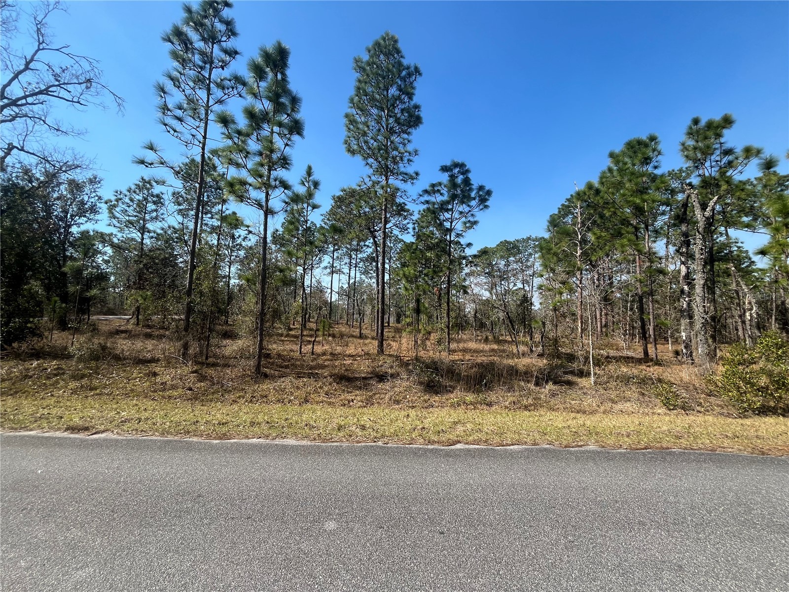 Water Oak Avenue Dunnellon FL 34431 K4903373 image1