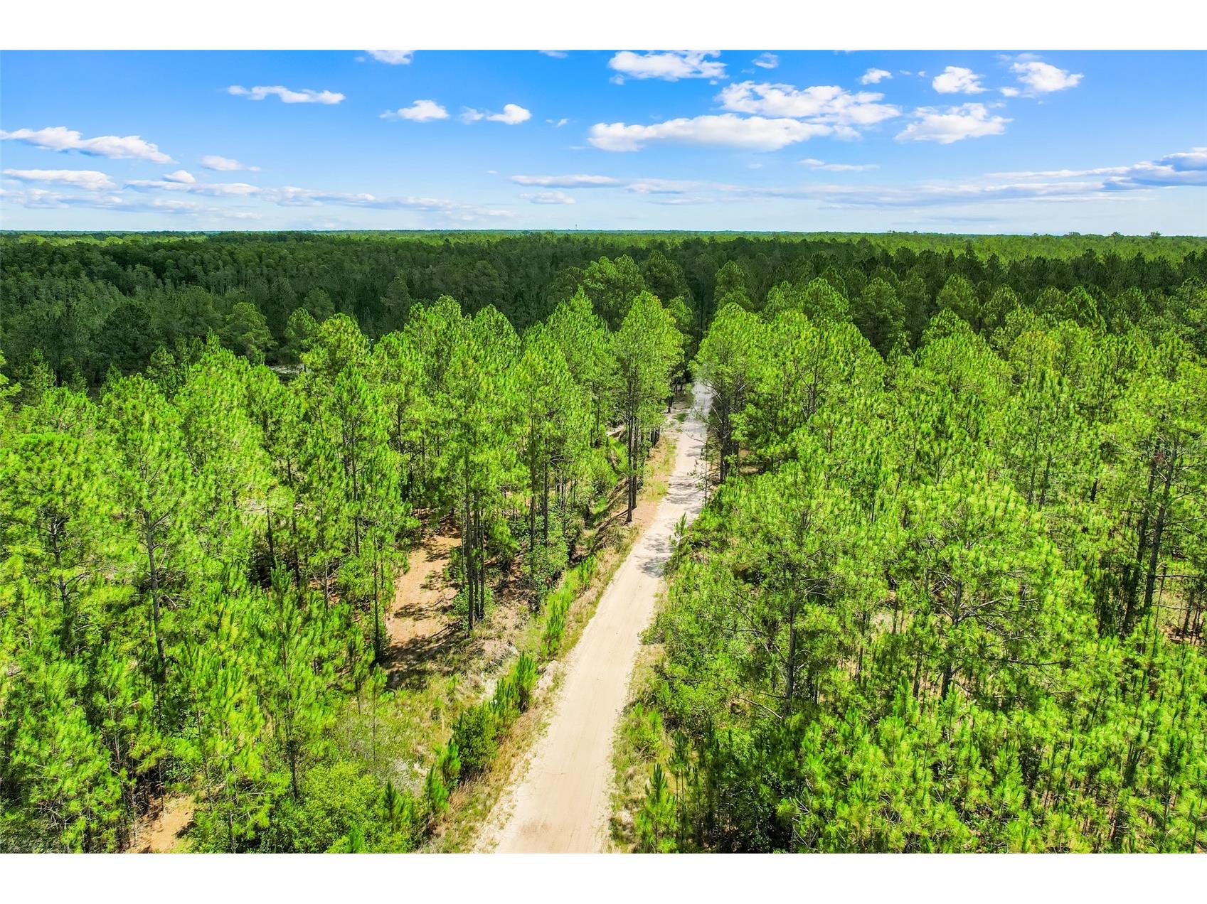 Water Road Clermont FL 34711 G5113933 image2
