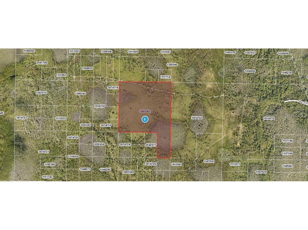 Water Road Groveland FL 34736 O6235684 image1