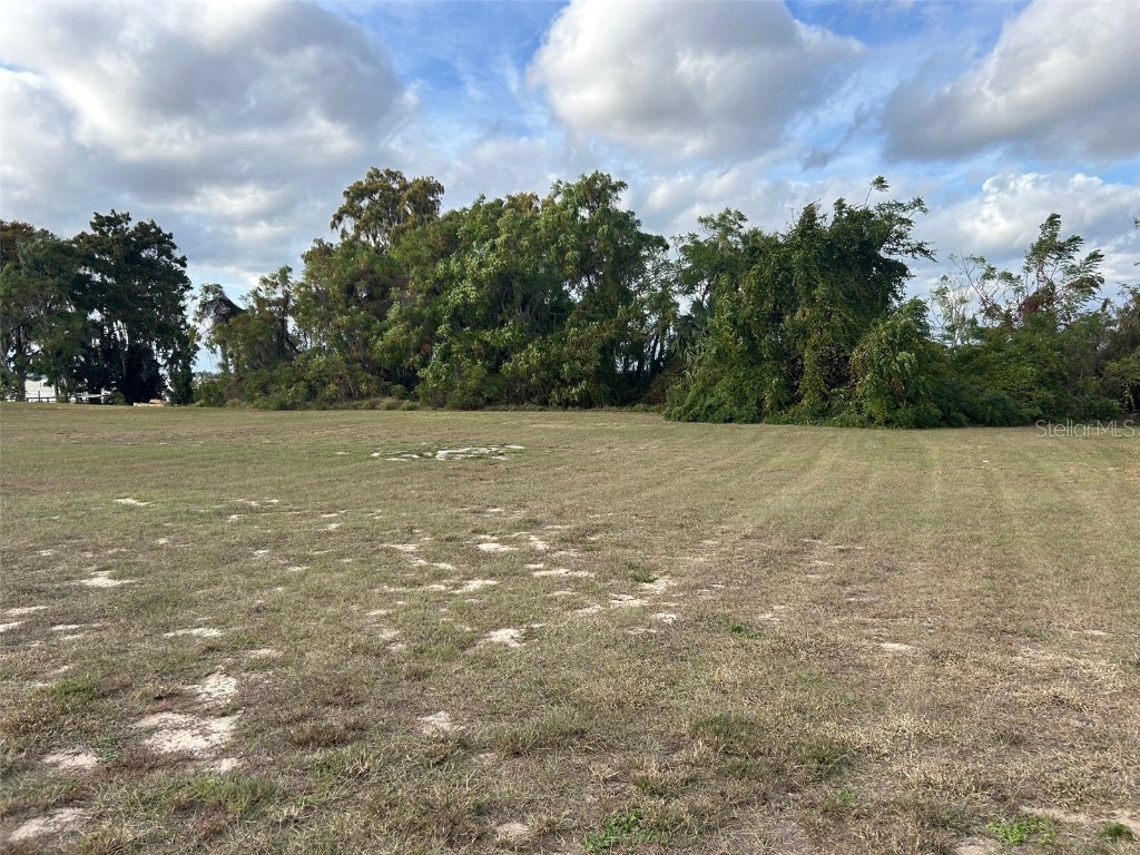 Waterview Drive Leesburg FL 34748 - LAKE GRIFFIN G5105114 image4