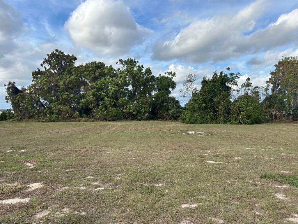 Waterview Drive Leesburg FL 34748 - LAKE GRIFFIN G5105114 image5