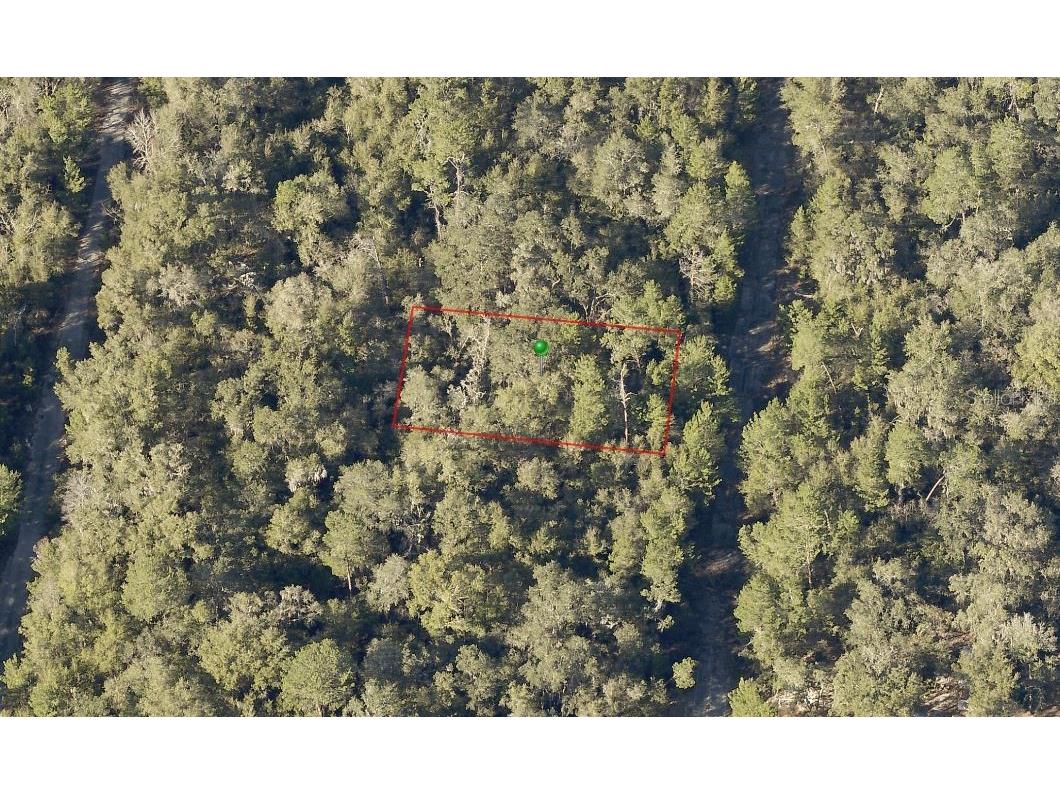 Wauchula Avenue De Leon Springs FL 32130 V4928551 image1