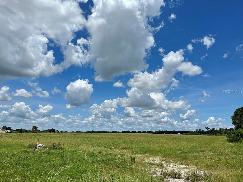  Wauchula FL 33873 A4579555 image1