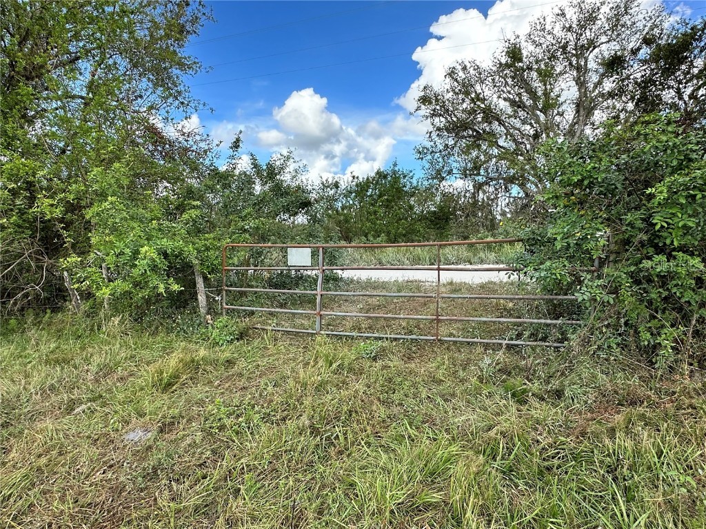 Wauchula Road Myakka City FL 34251 - LONG CREEK A4628849 image5