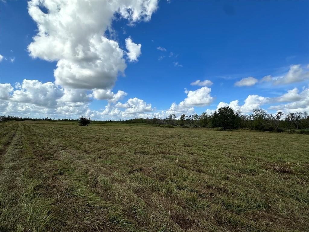 Wauchula Road Myakka City FL 34251 - LONG CREEK A4628849 image6