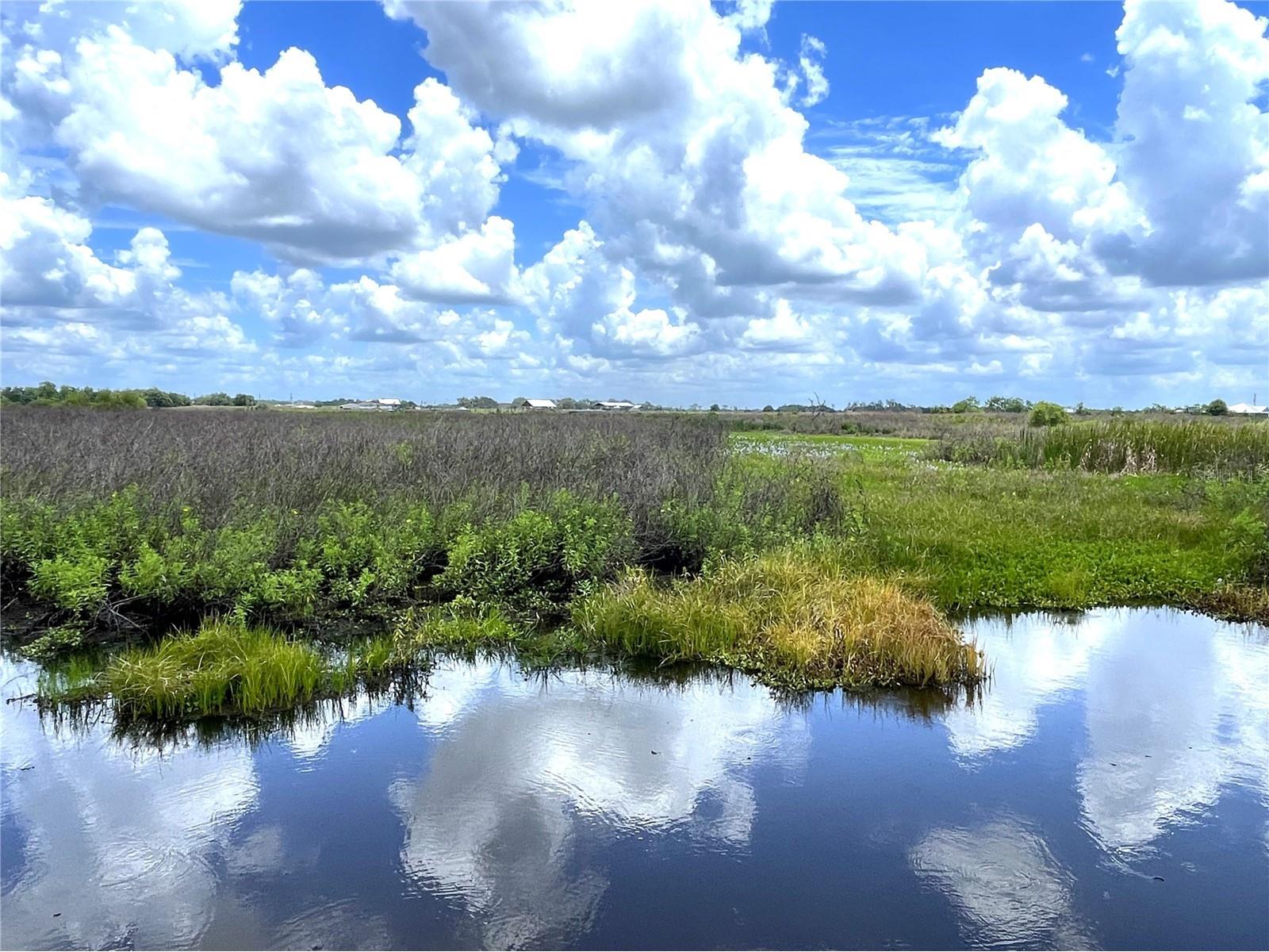 Wauchula Road Myakka City FL 34251 A4694646 image1