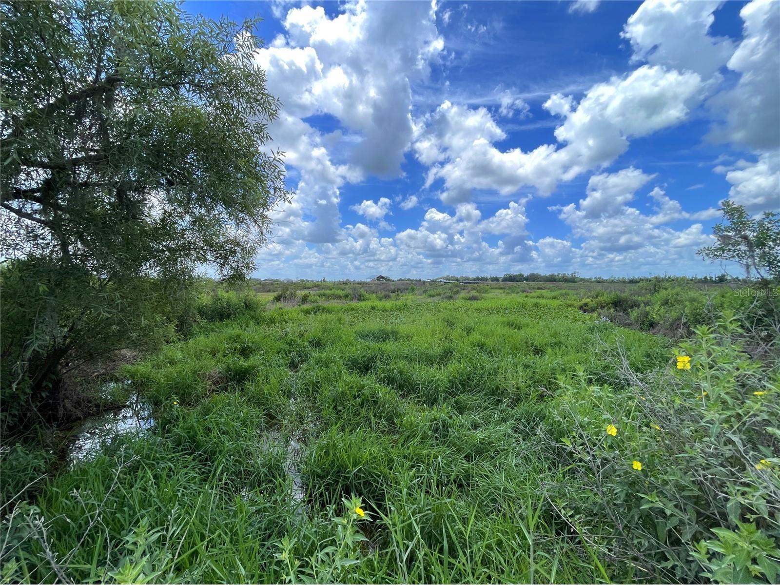 Wauchula Road Myakka City FL 34251 A4694646 image3