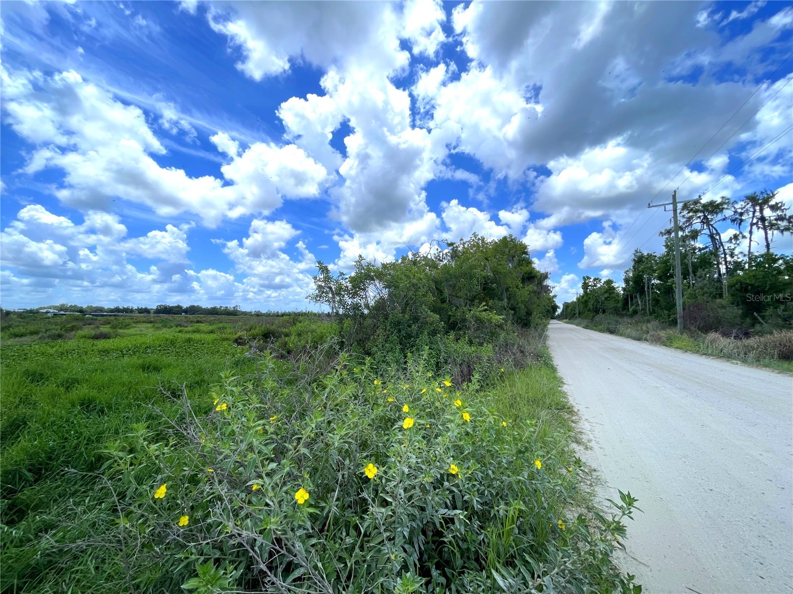 Wauchula Road Myakka City FL 34251 A4694646 image4