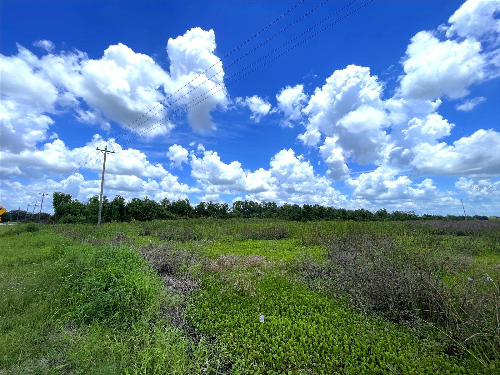 Wauchula Road Myakka City FL 34251 A4694646 image5