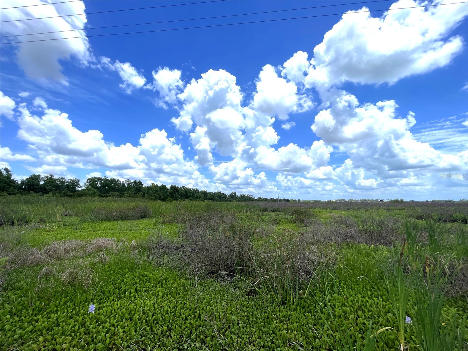 Wauchula Road Myakka City FL 34251 A4694646 image6