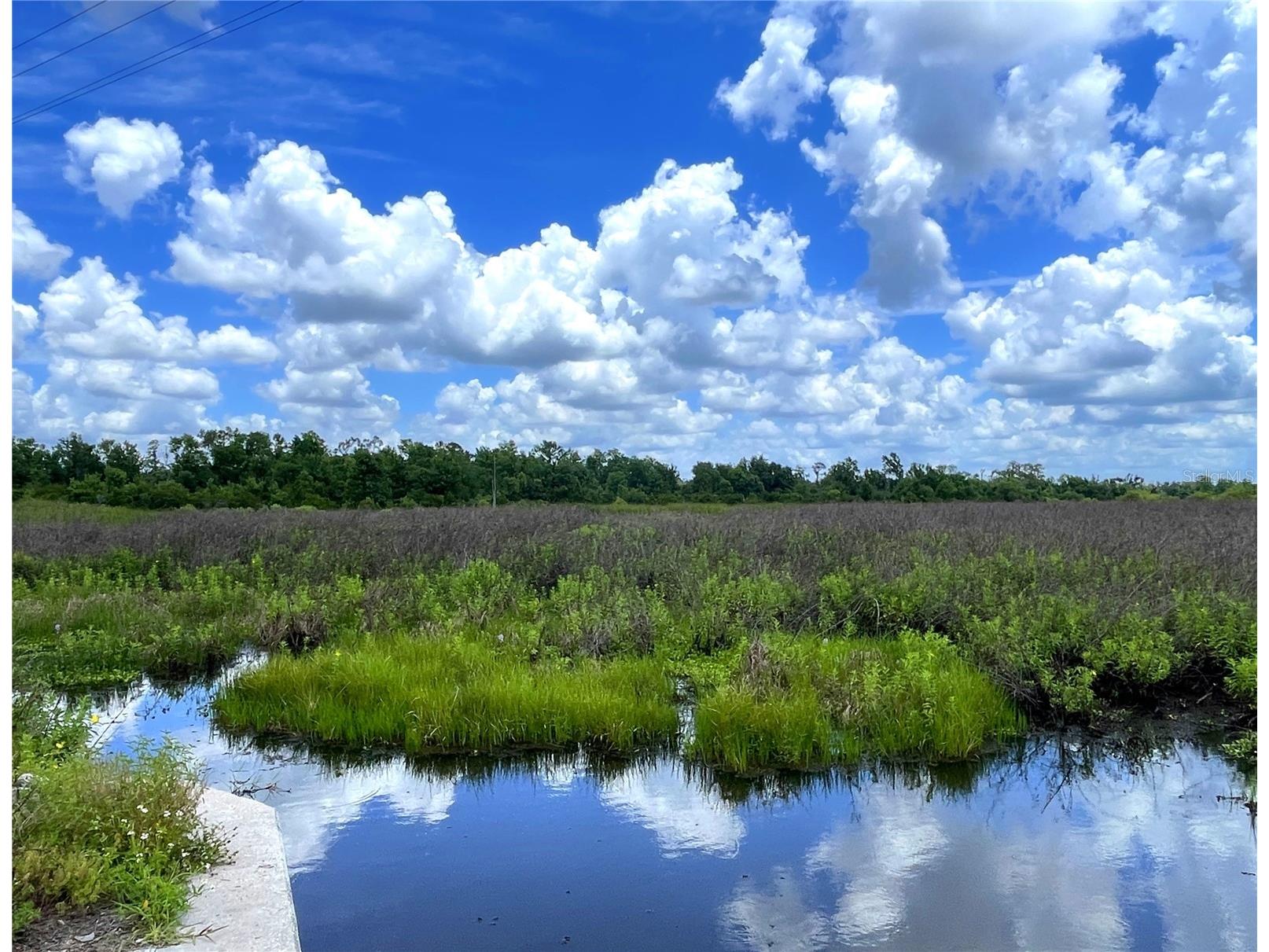 Wauchula Road Myakka City FL 34251 A4694646 image7