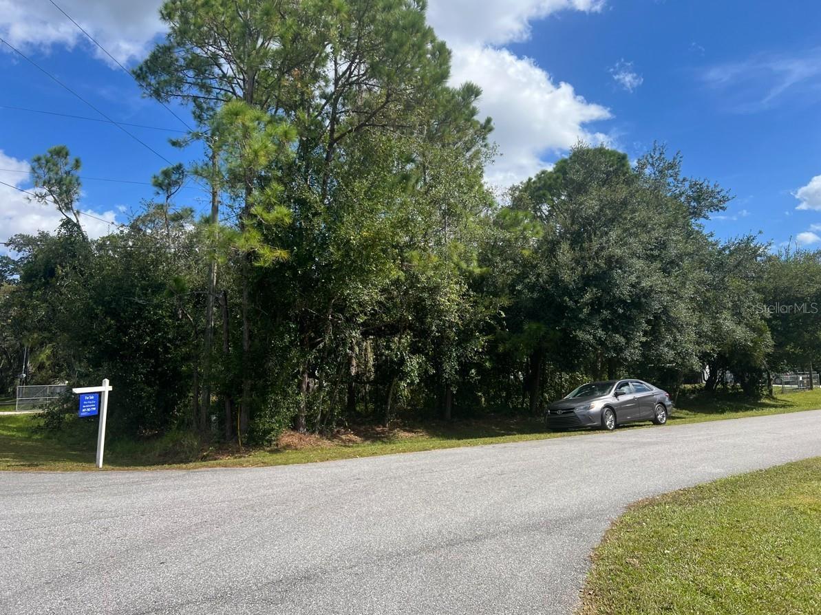 Wauchula Street Intercession City FL 33848 S5147166 image1