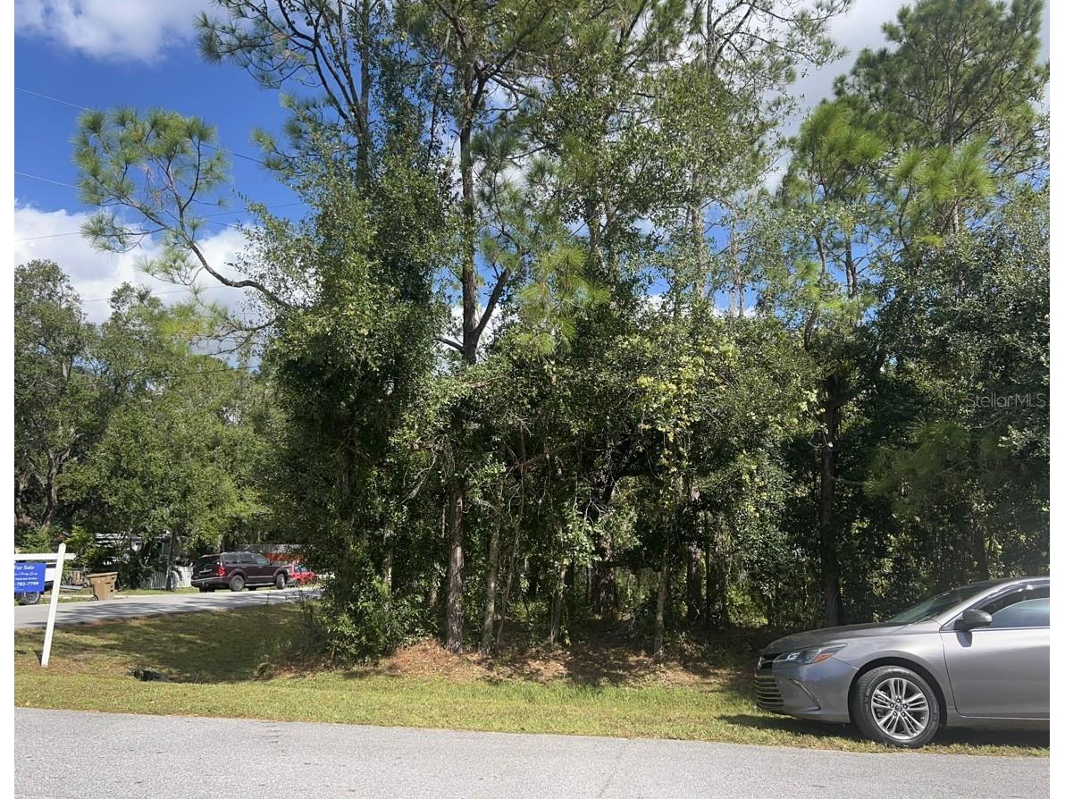 Wauchula Street Intercession City FL 33848 S5147166 image3
