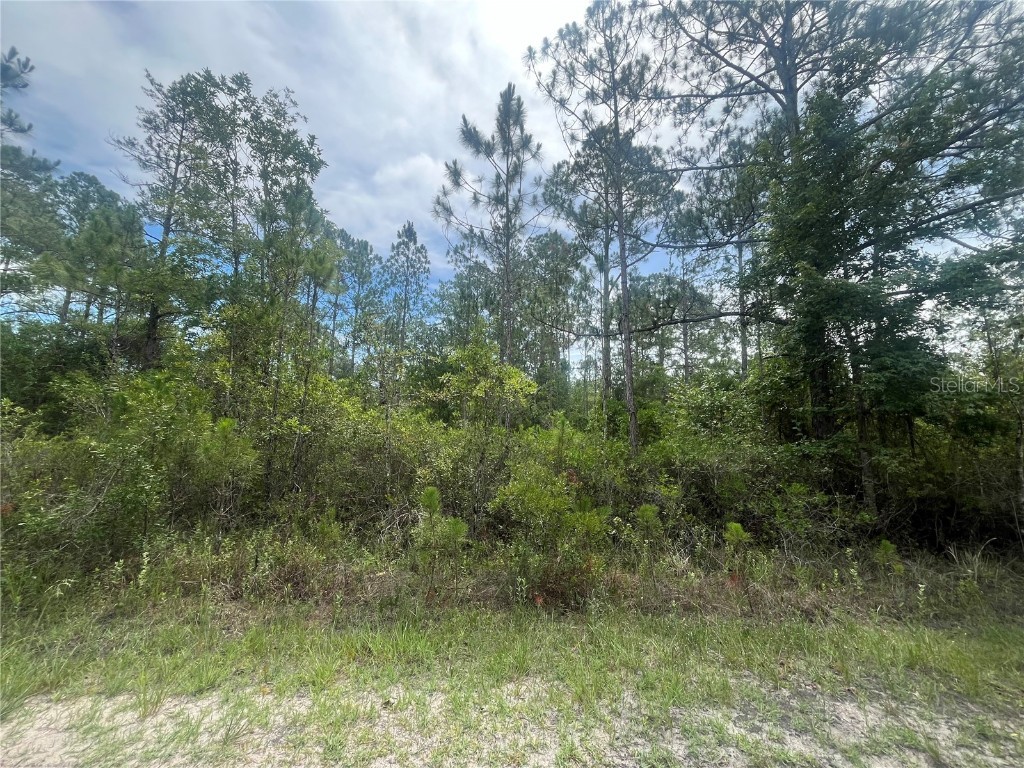 Weatherby Hastings FL 32145 OK224163 image1