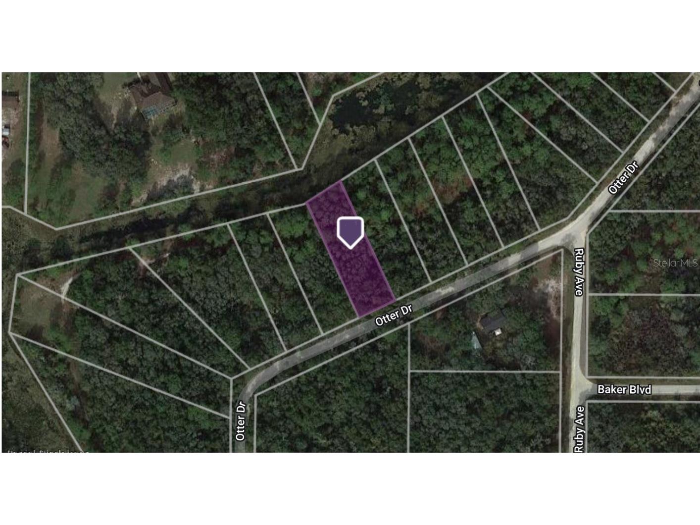  Webster FL 33597 C7474713 image1