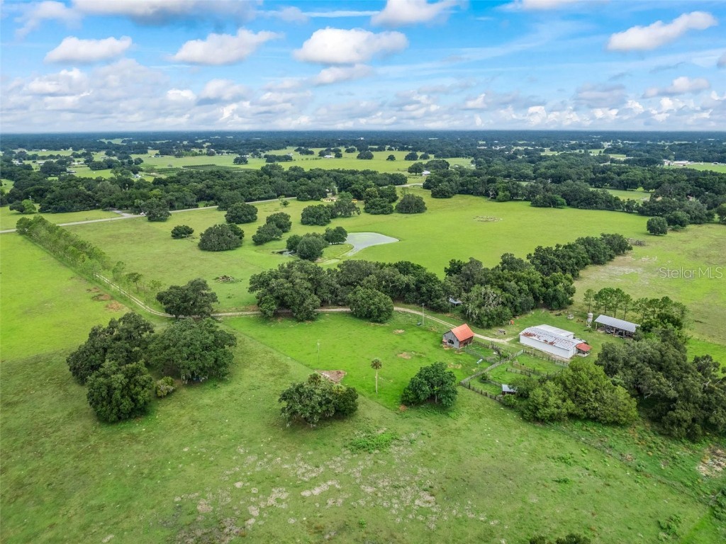  Webster FL 33597 G5061263 image11