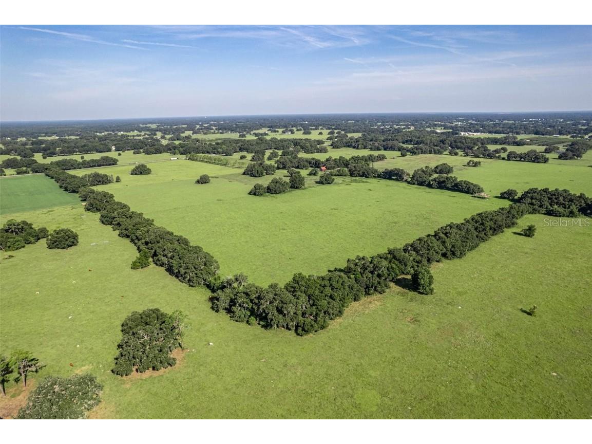  Webster FL 33597 G5061263 image13