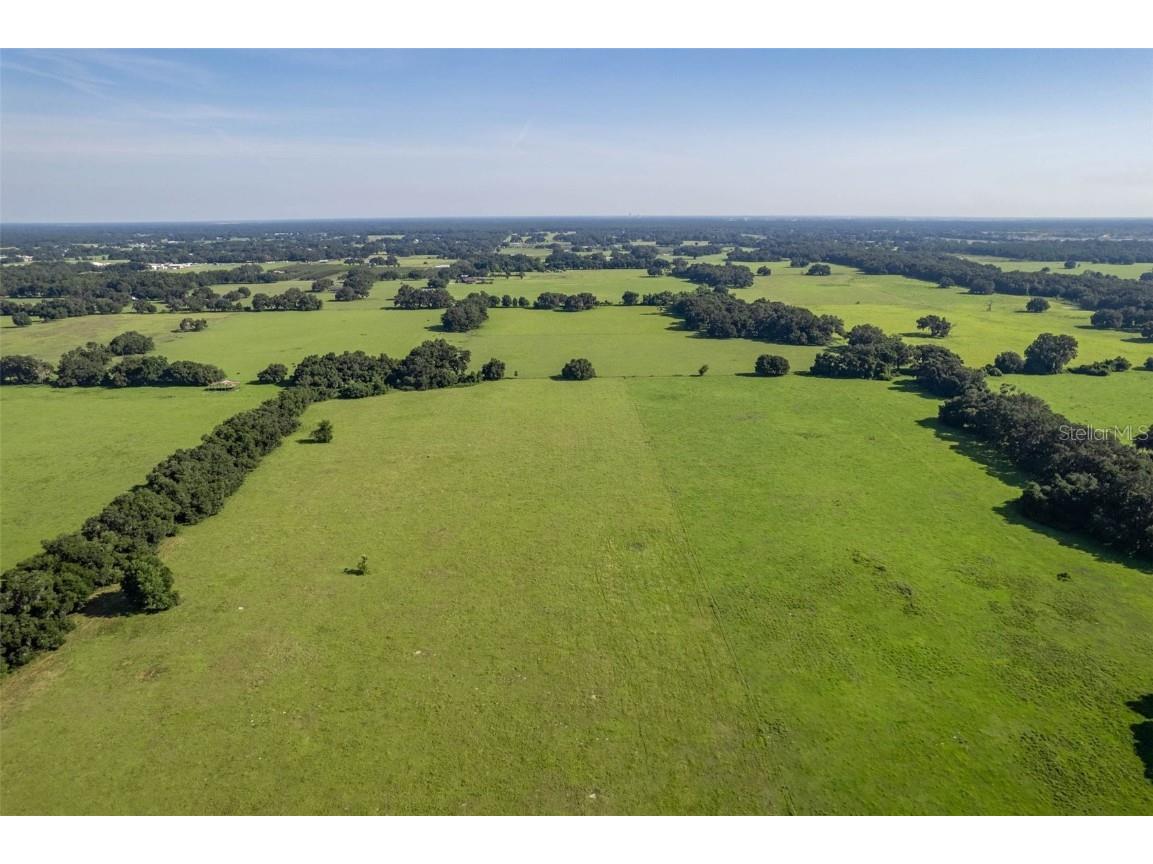  Webster FL 33597 G5061263 image14