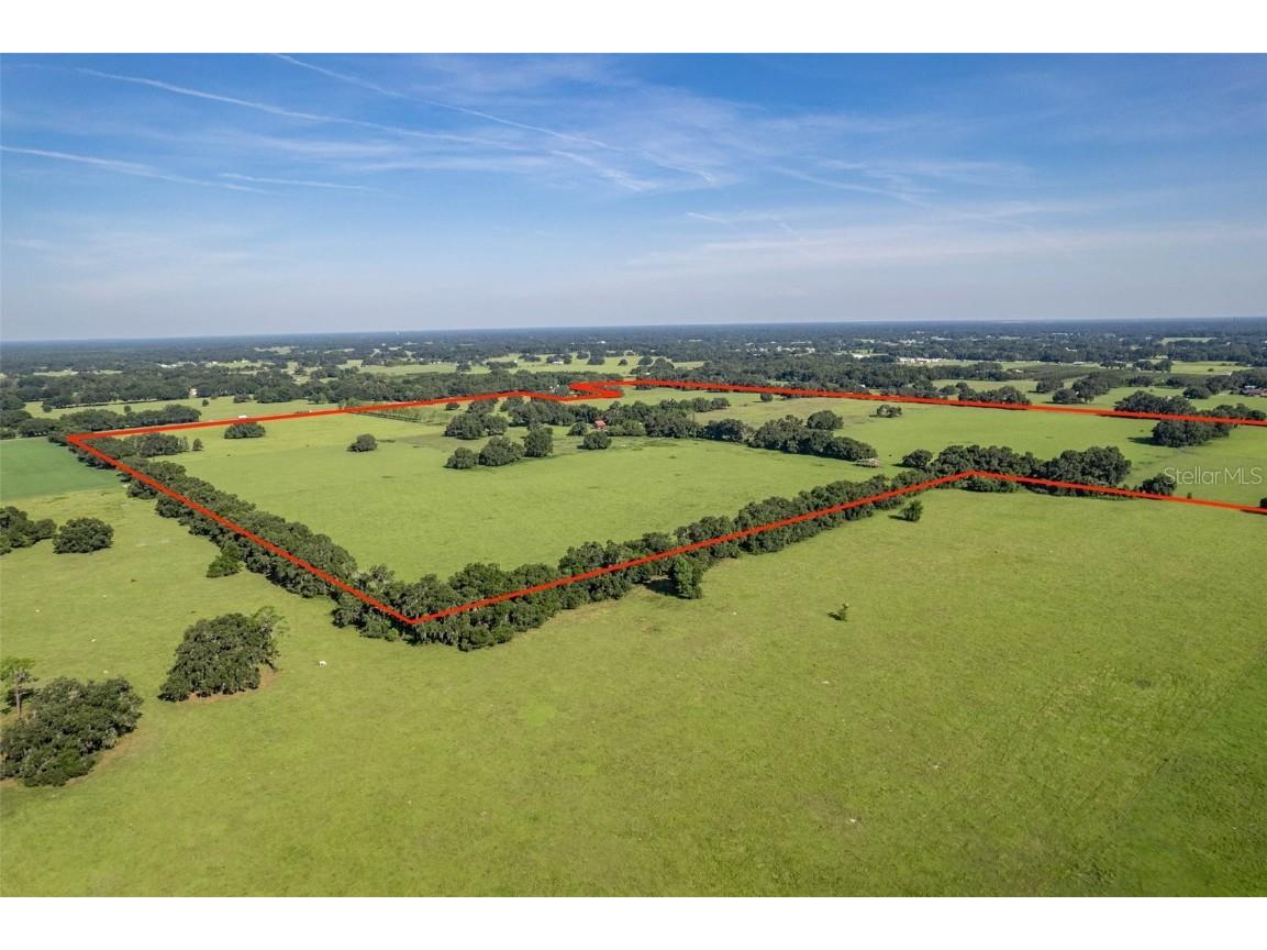  Webster FL 33597 G5061263 image15