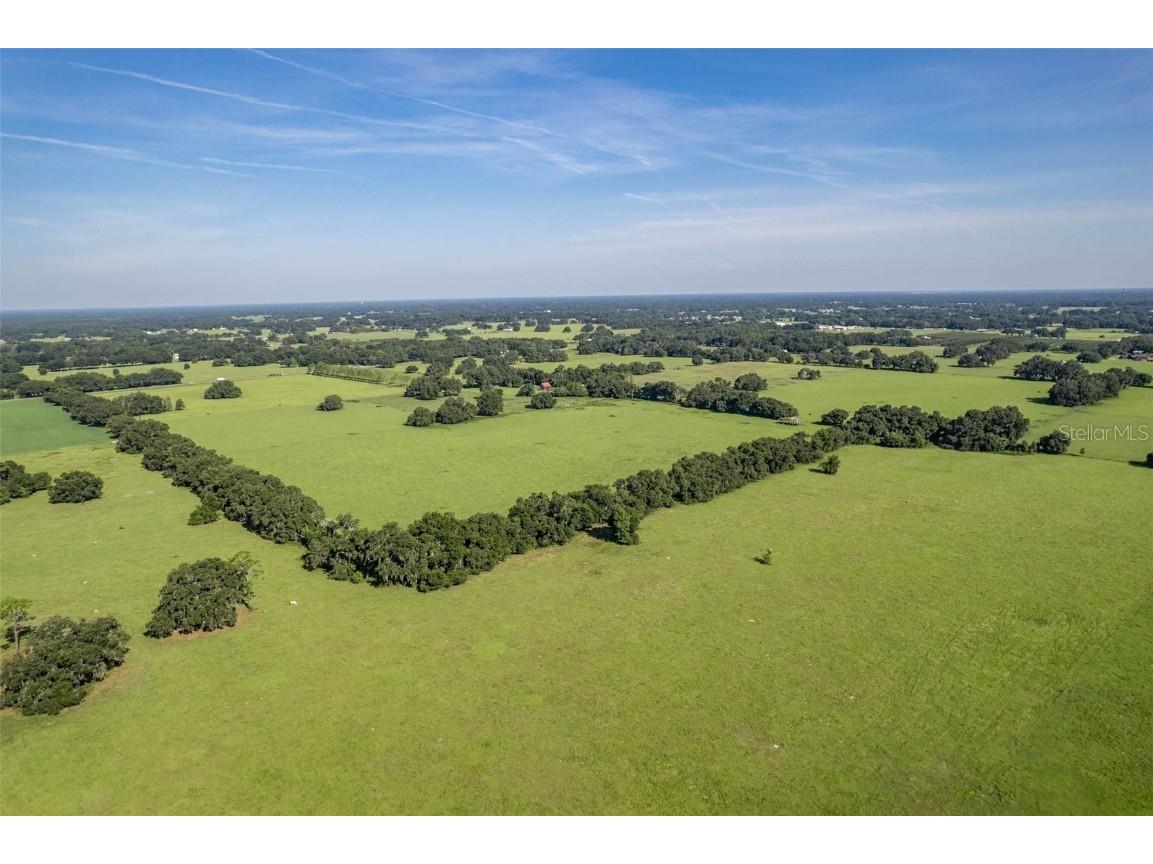  Webster FL 33597 G5061263 image16