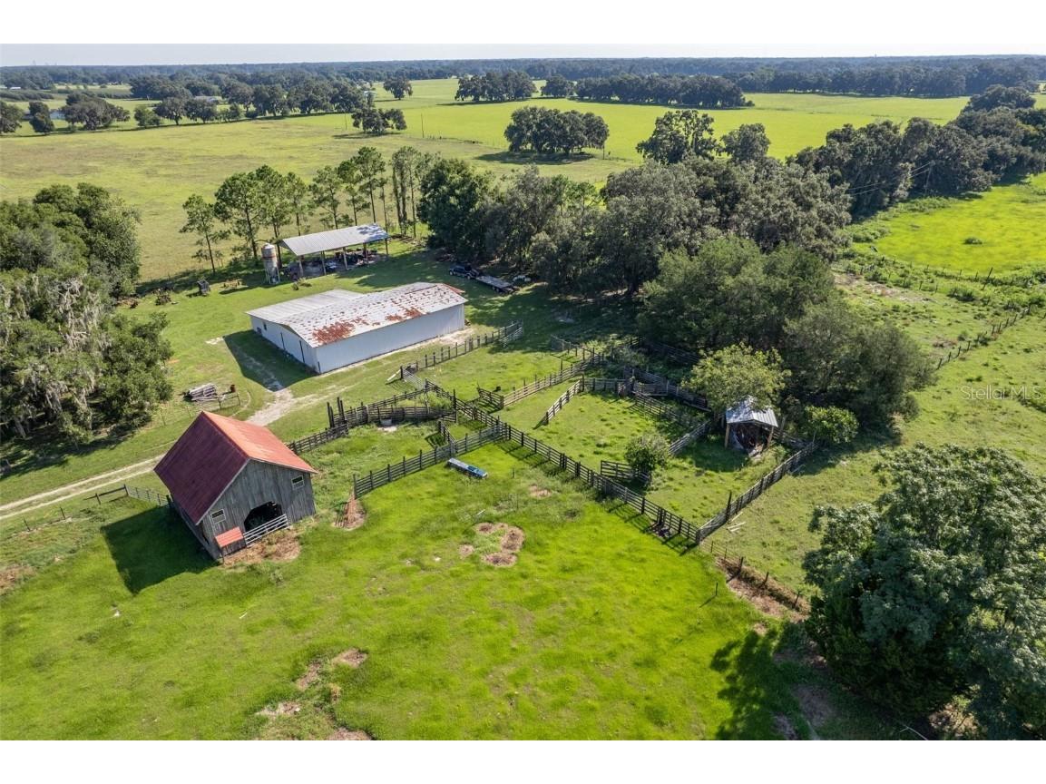  Webster FL 33597 G5061263 image17