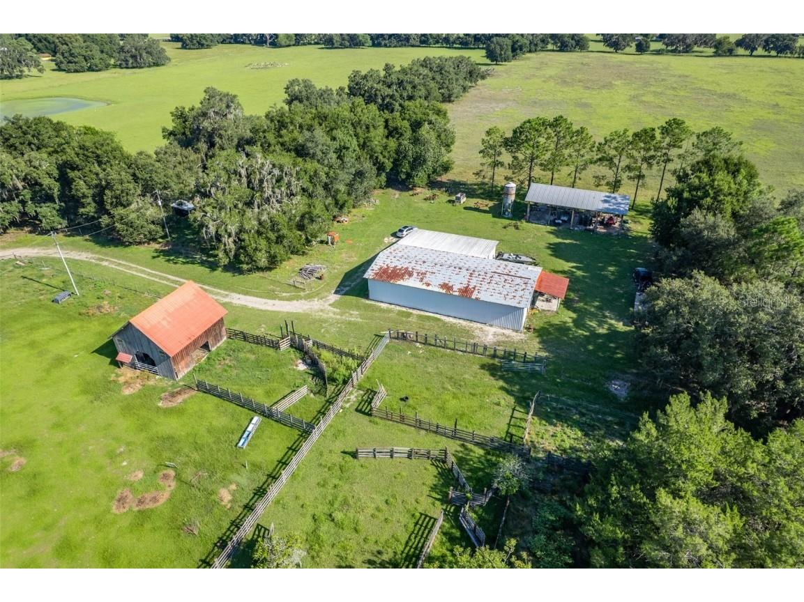  Webster FL 33597 G5061263 image18