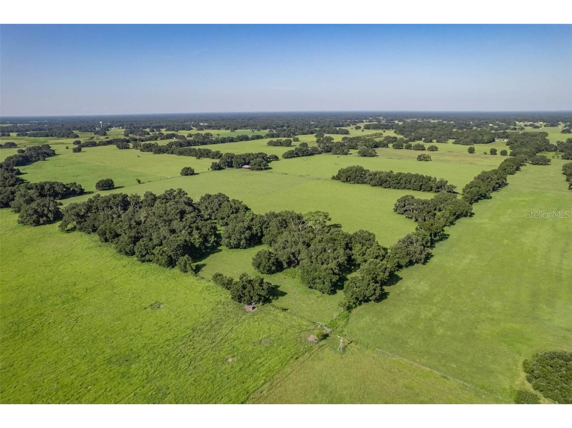  Webster FL 33597 G5061263 image19