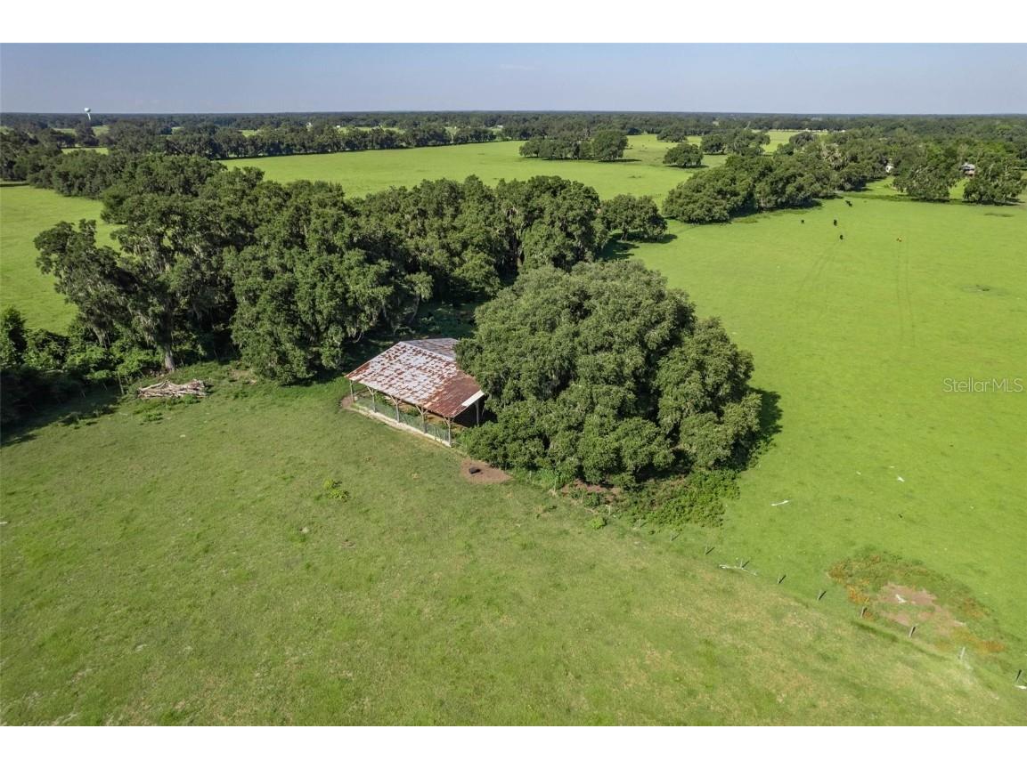  Webster FL 33597 G5061263 image21