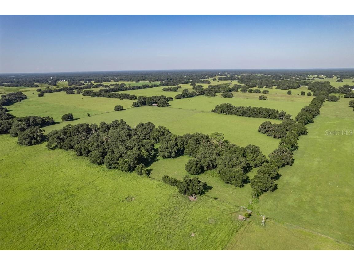  Webster FL 33597 G5061263 image22