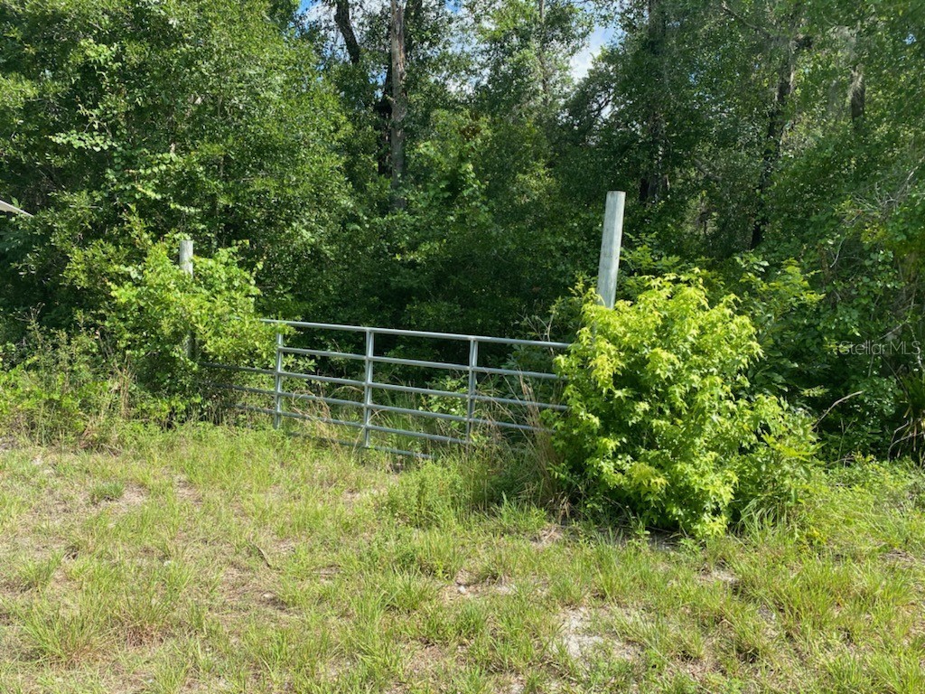  Webster FL 33597 W7835083 image1