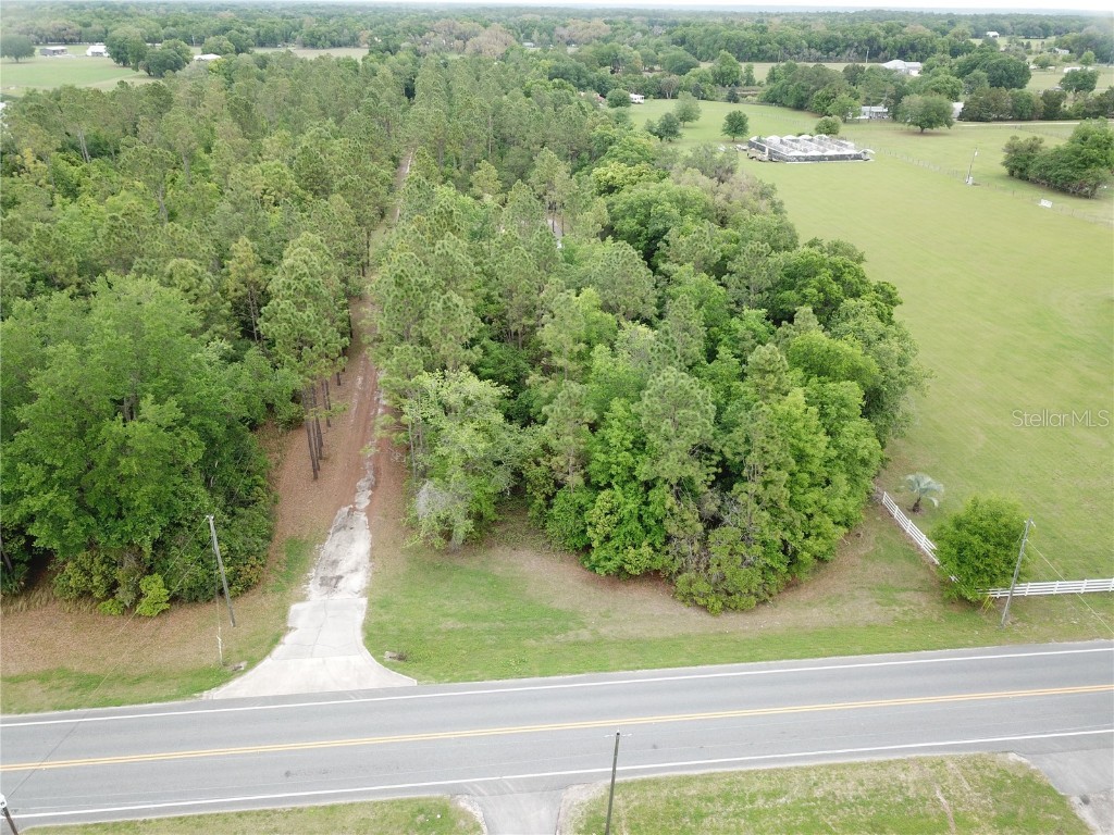 Webster Street Altoona FL 32702 O6015081 image1