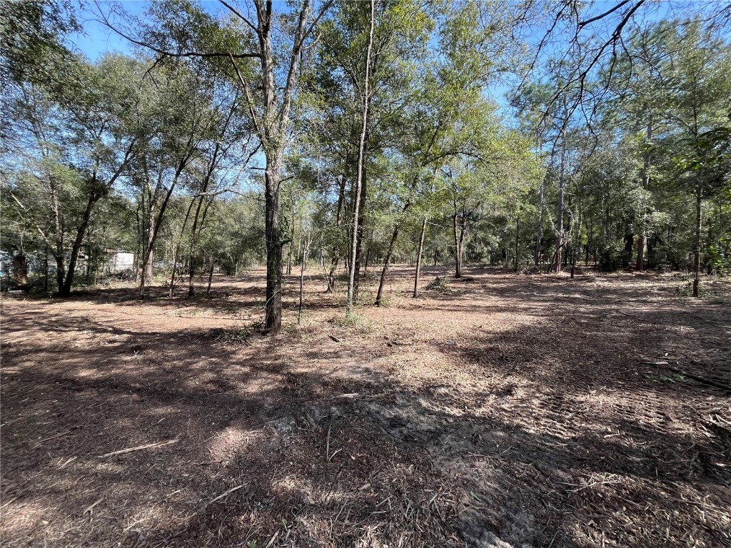 Webster Street Interlachen FL 32148 OK223577 image1