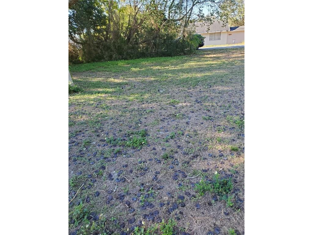 Wedgewood Cir Mount Dora FL 32757 O6346520 image3