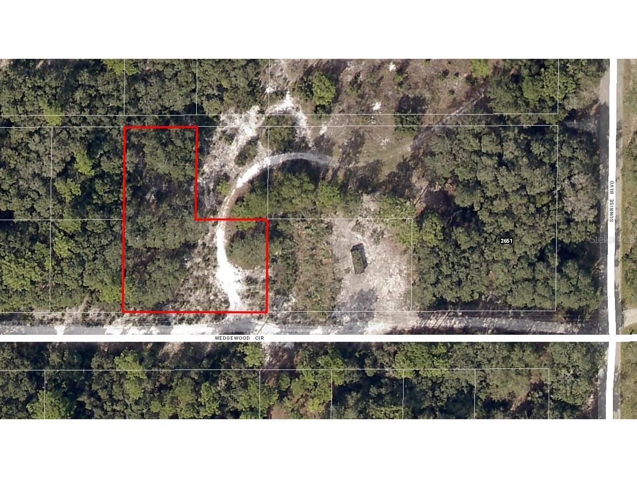 Wedgewood Circle Mount Dora FL 32757 G5073926 image1