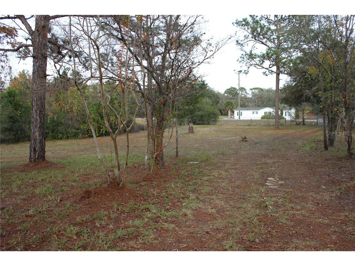  Weeki Wachee FL 34614 U8224163 image1