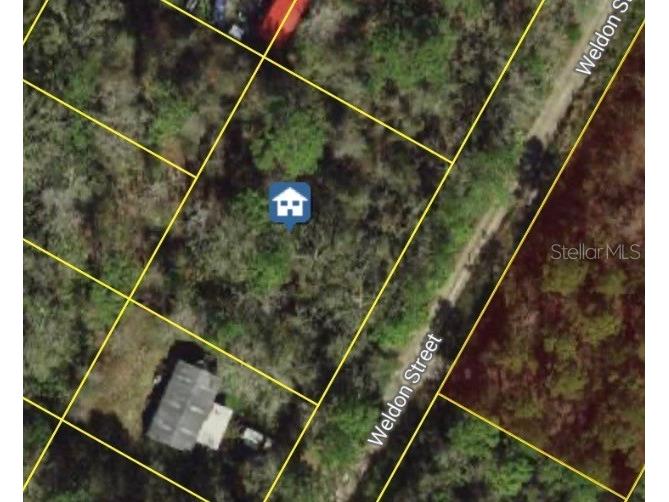 Weldon Street New Port Richey FL 34654 W7871797 image1