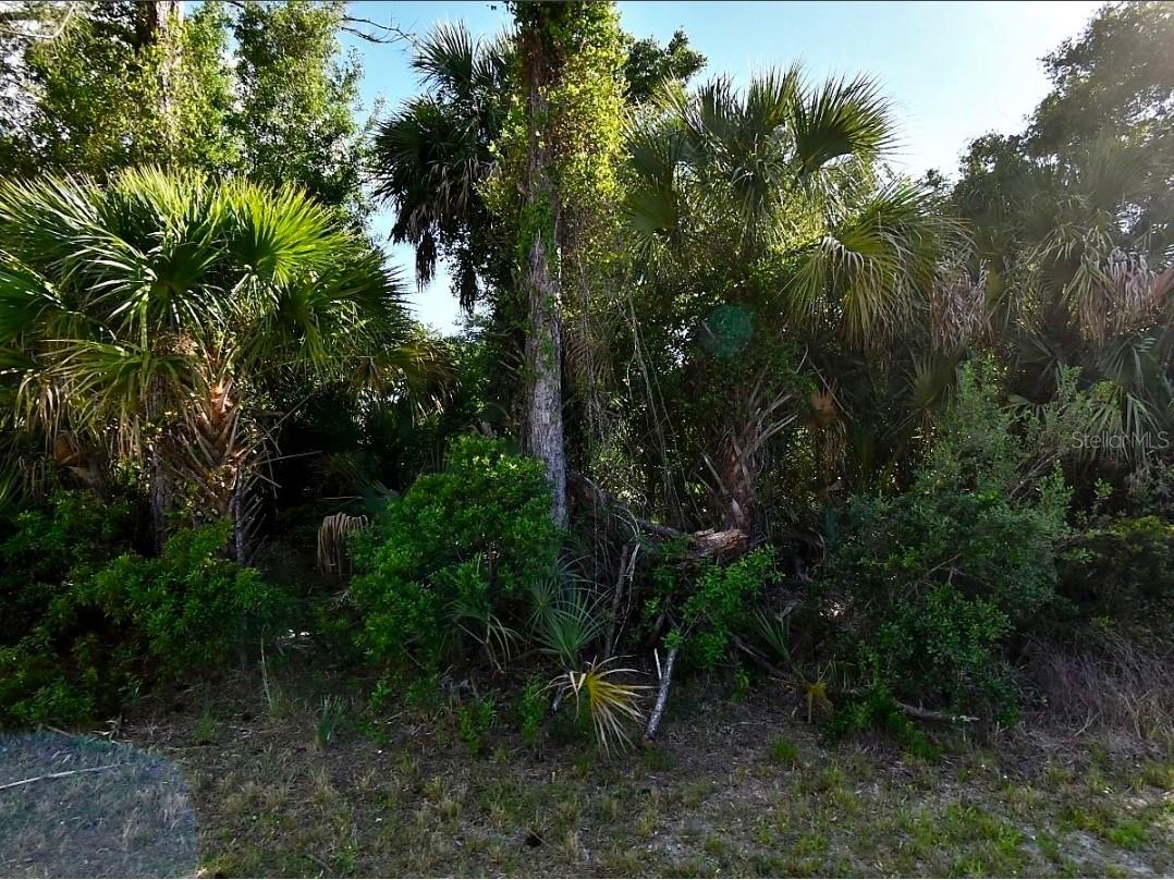 Wells Avenue North Port FL 34286 A4699101 image1